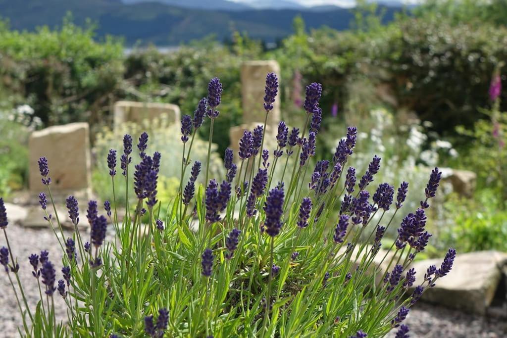 Stylish Scottish Manor, Coillemore House Kyle of Lochalsh Exteriör bild