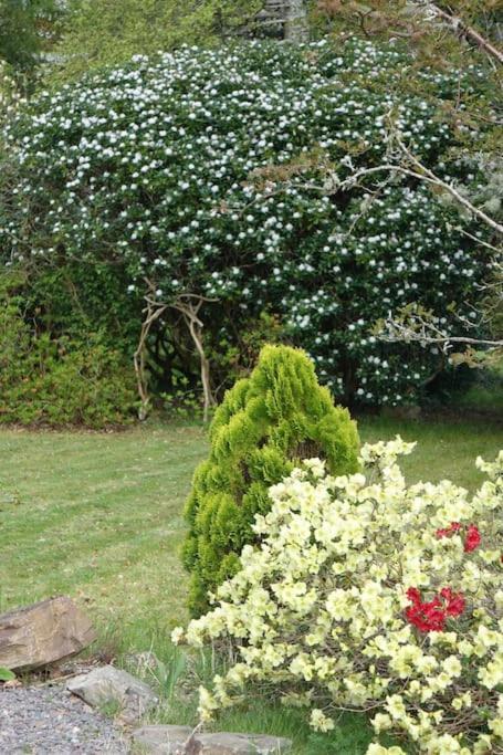 Stylish Scottish Manor, Coillemore House Kyle of Lochalsh Exteriör bild